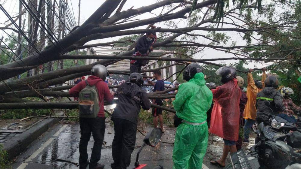 Pohon tumbang di jembatan Panus Jalan Raya Siliwangi, Kecamatan Pancoran Mas, Kota Depok. (Istimewa)
