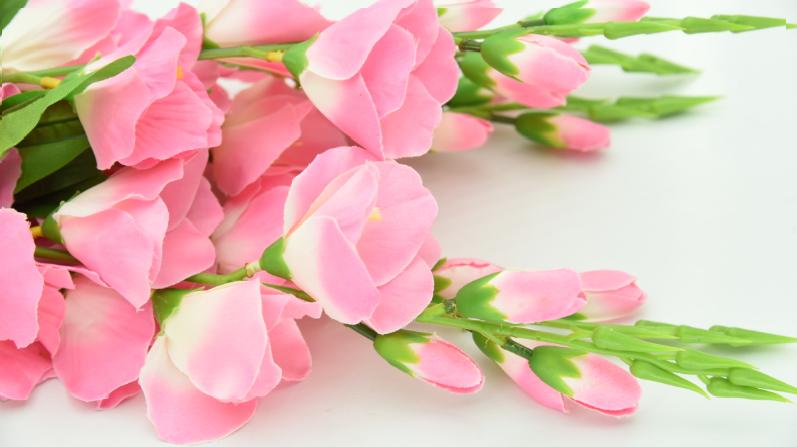 11 Bunga Cantik dengan Makna yang Tak Kalah Indah, Sweet!