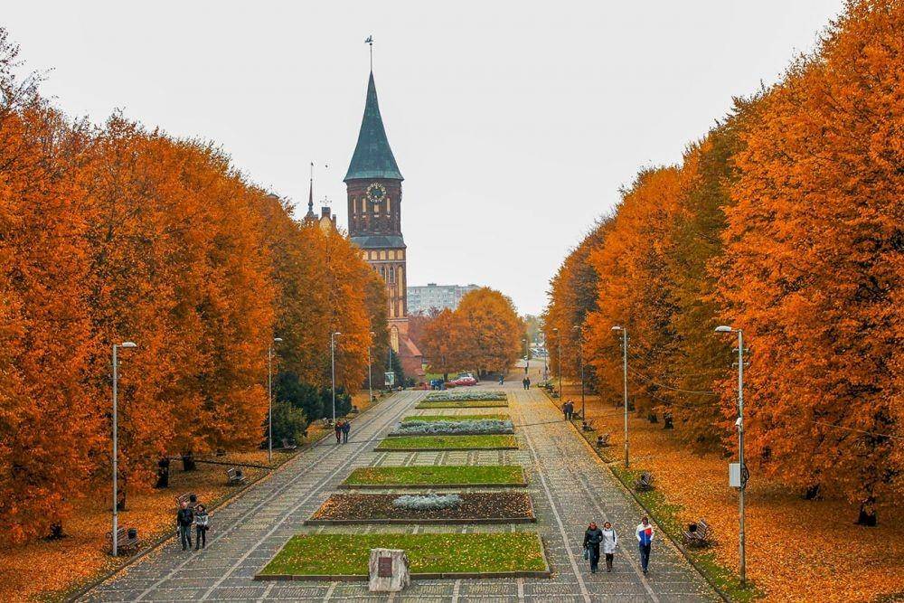Pulau Kant, Kaliningrad, Rusia (rbth.com)