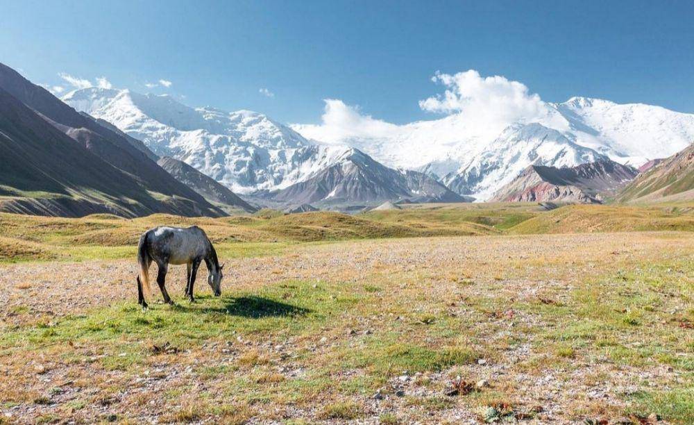 Lenin Peak (instagram.com/mountain_quest)