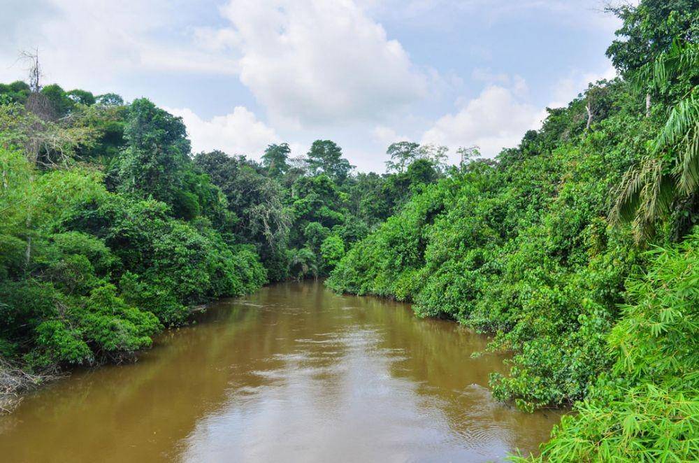 Sungai Kongo (thegorbalsla.com)