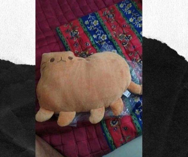 ekspektasi tak sesuai kenyataan saat beli barang (instagram.com/ngakakkocak)