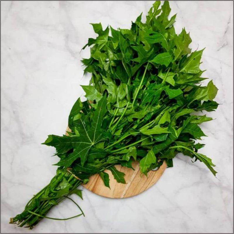 Resep Daun Pepaya Kuah Santan Anti Pahit (mudahpesan.com)