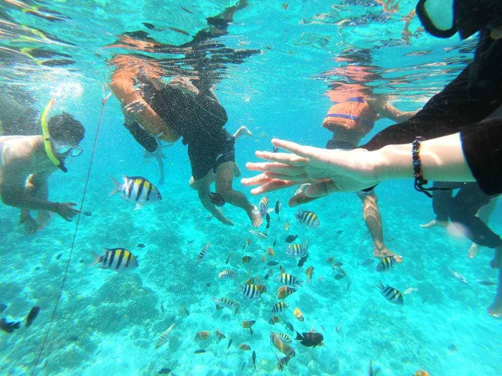 snorkling di Gili Trawangan (Dok. Pribadi/Sri Muliati)
