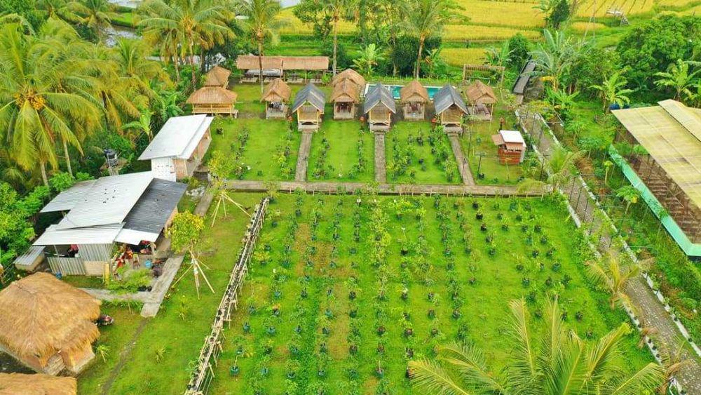 5 Alasan Berkunjung ke Eduwisata Unram Farming, Narmada, Lombok Barat