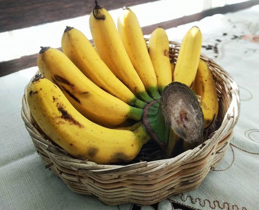 9 Jenis Pisang Paling Populer di Indonesia, Mana Favoritmu?