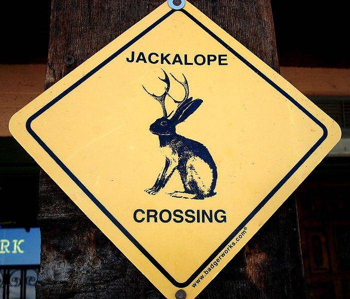 Sebuah peringatan tanda jalan tentang Jackalope, seolah-olah hewan ini nyata (commons.wikimedia.org)