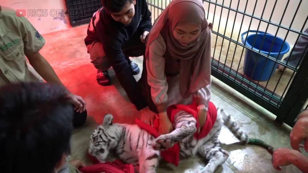 potret Ria Ricis memandikan Selen (youtube.com/Ricis Official)