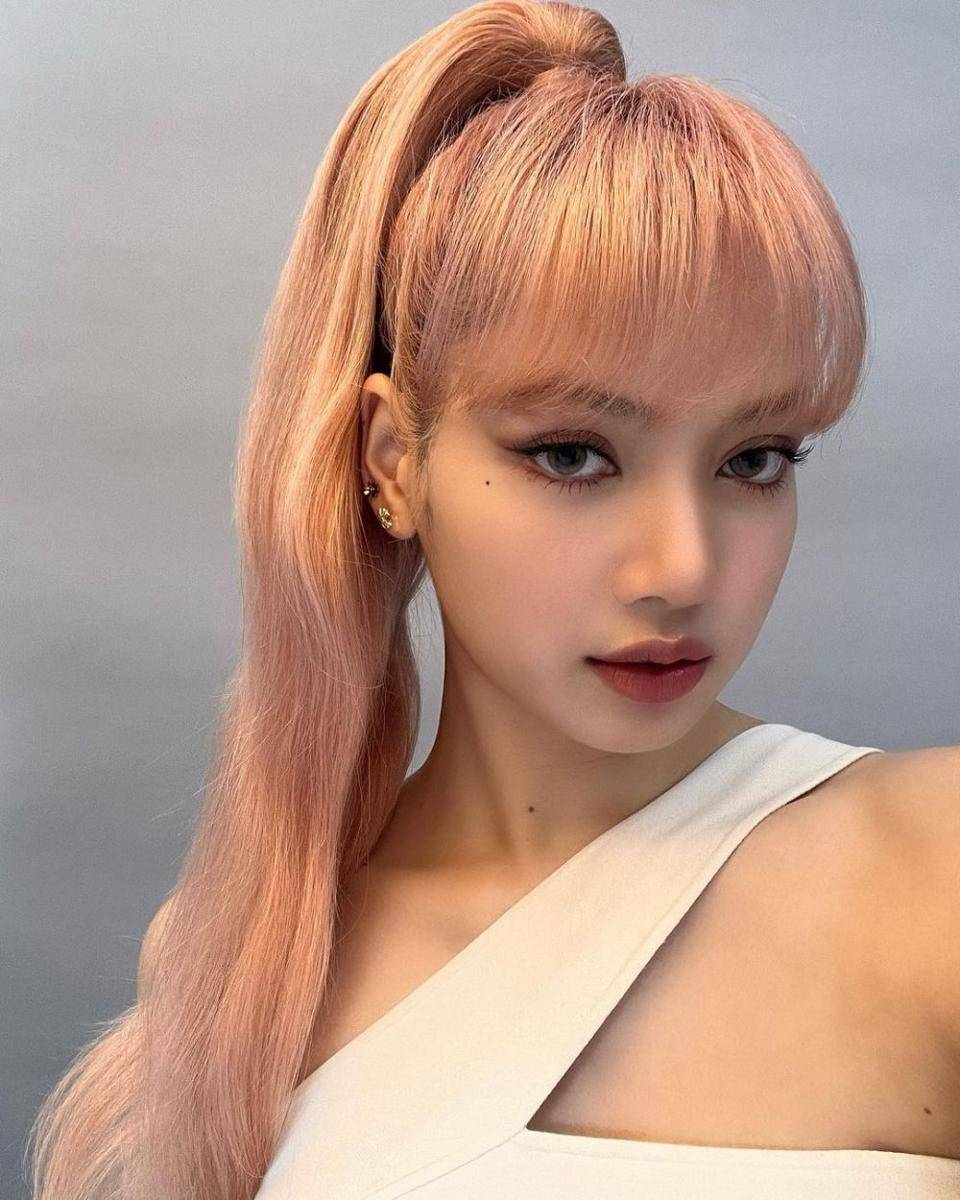 Lisa BLACKPINK (instagram.com/lalalalisa_m)