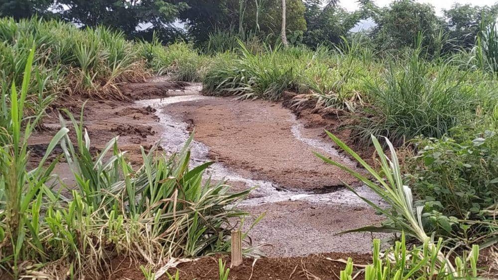 Limbah yang masuk ke area pertanian warga . IDN Times/ istimewa