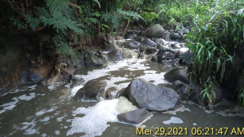 Air sungai yang tercemar limbah kotoran PT Greensfields Indonesia. IDN Times/ istimewa