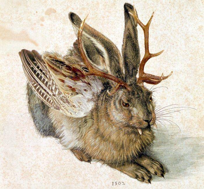 ilustrasi jackalope oleh Rainer Zenz (commons.wikimedia.org)