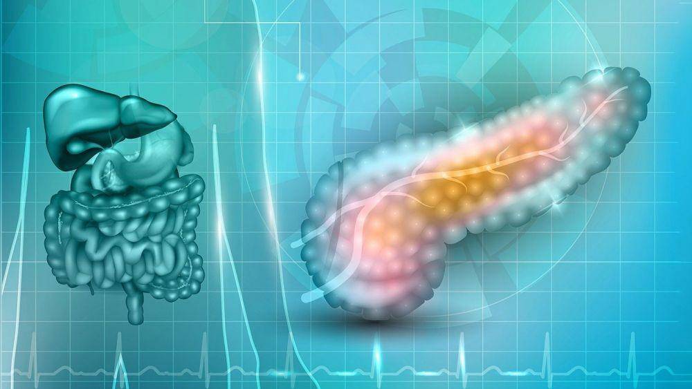 ilustrasi insufisiensi eksokrin pankreas (everydayhealth.com)