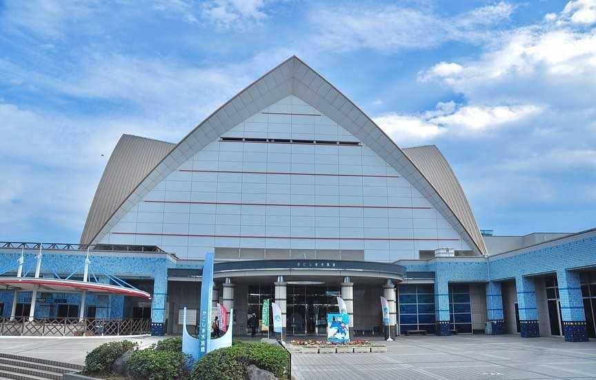 lo world Kagoshima aquarium (Instagram.com/nikkory)