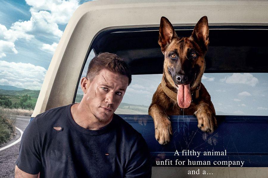 Pelajaran Hidup dari Film Dog, Hewan pun Mengubah Kita Jadi Positif