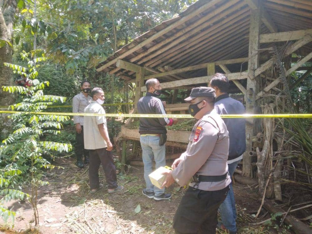 Pencuri Nekat Gasak Kambing di Depan Rumah Pemiliknya