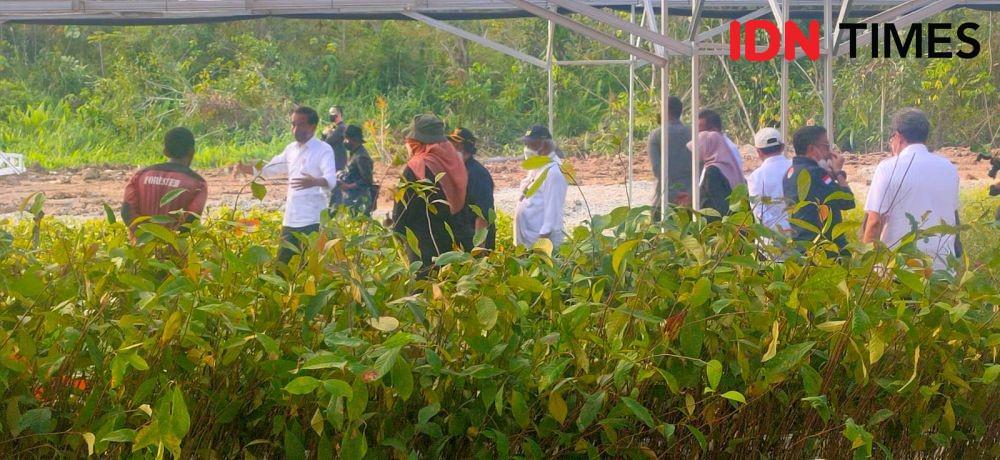 Tanah dan Air Suci Bali untuk IKN Dianggap Sakral