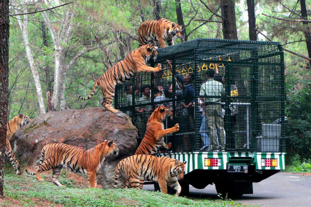 Tempat Ini Bisa Jadi Lokasi Seru Liburan Lebaran Bareng Keluarga