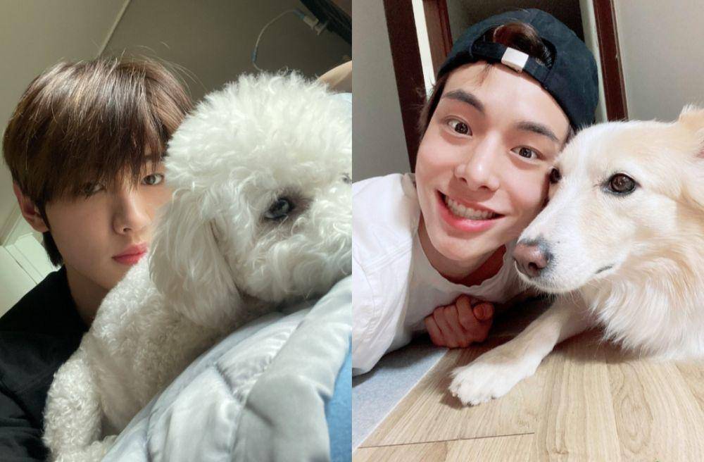 Sunghoon dan Jake bersama anjing kesayangannya (twitter.com/ENHYPEN_members)