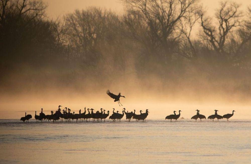Platte River (instagram.com/summitworkshops)
