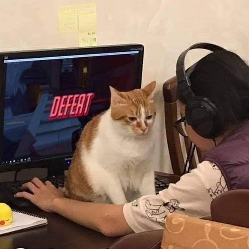 potret apes pemilik kucing (instagram.com/kucinggua)