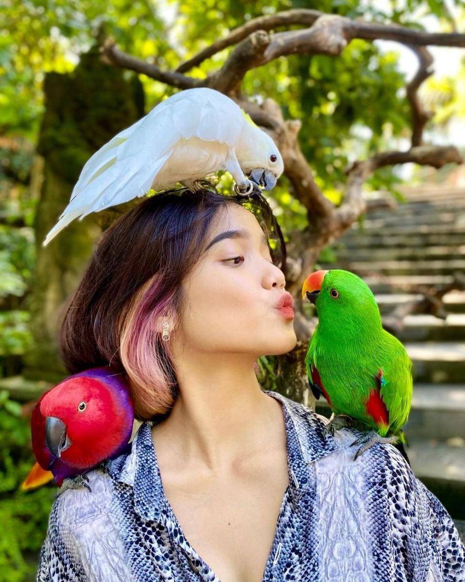 Liburan Fuji di Bali Zoo (instagram.com/fuji_an)