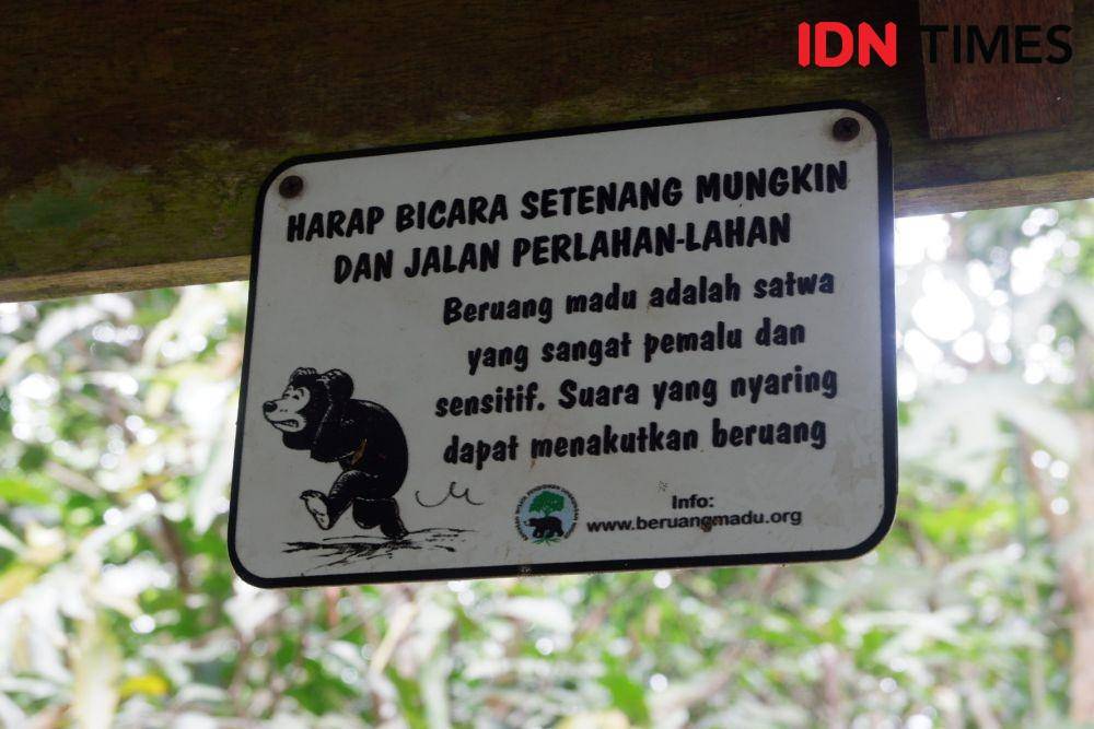 Para pekerja memantau enam beruang madu yang ada di KWPLH (IDN Times/Riani Rahayu)
