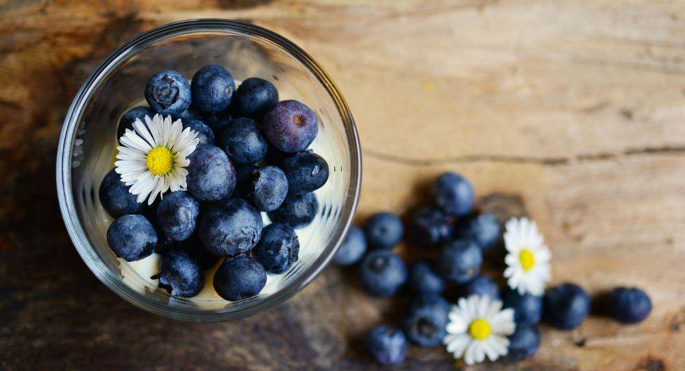 ilustrasi buah blueberry (pixabay.com/Congerdesign)