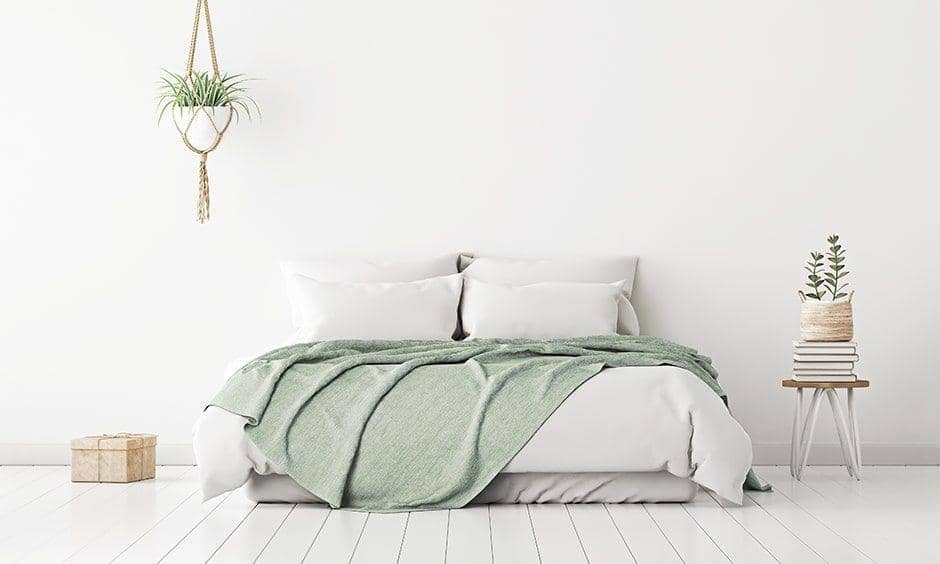 Tanaman gantung untuk kamar tidur. (designcafe.com)