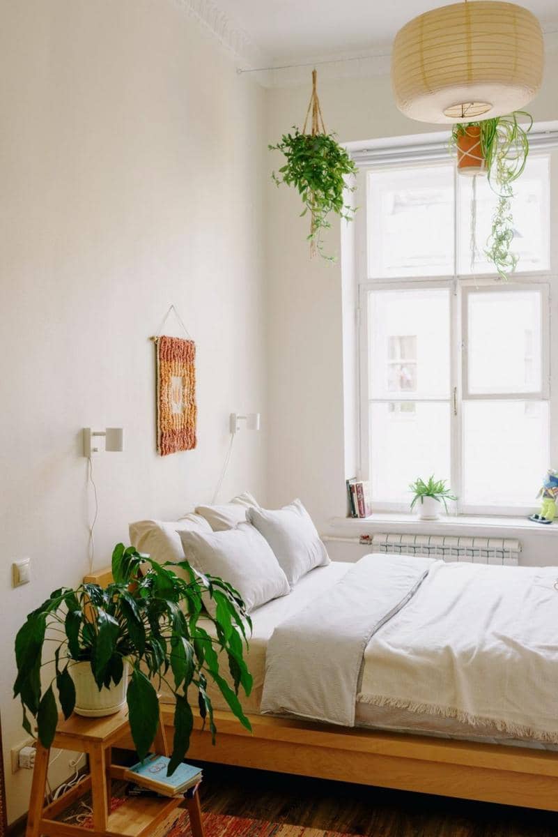 Tanaman gantung di kamar. (pexels.com/Ksenia Chernaya)