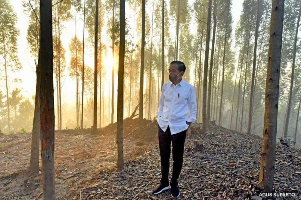 Jokowi menikmati suasana pagi di IKN. (Instagram.com/jokowi)