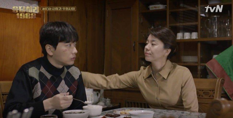 Reply 1988 (dok.tvN/Reply 1988)