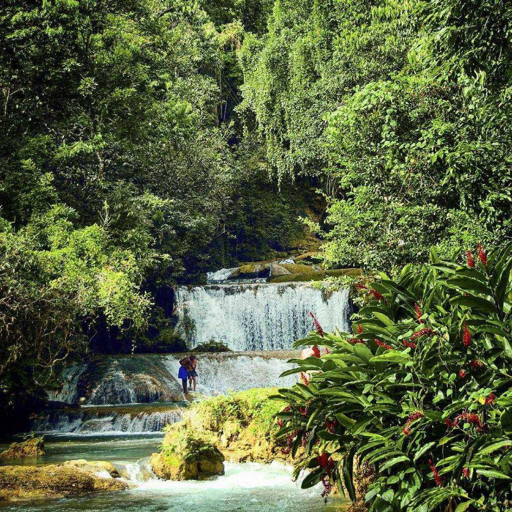 Mayfield Falls (instagram.com/islandoutpost)