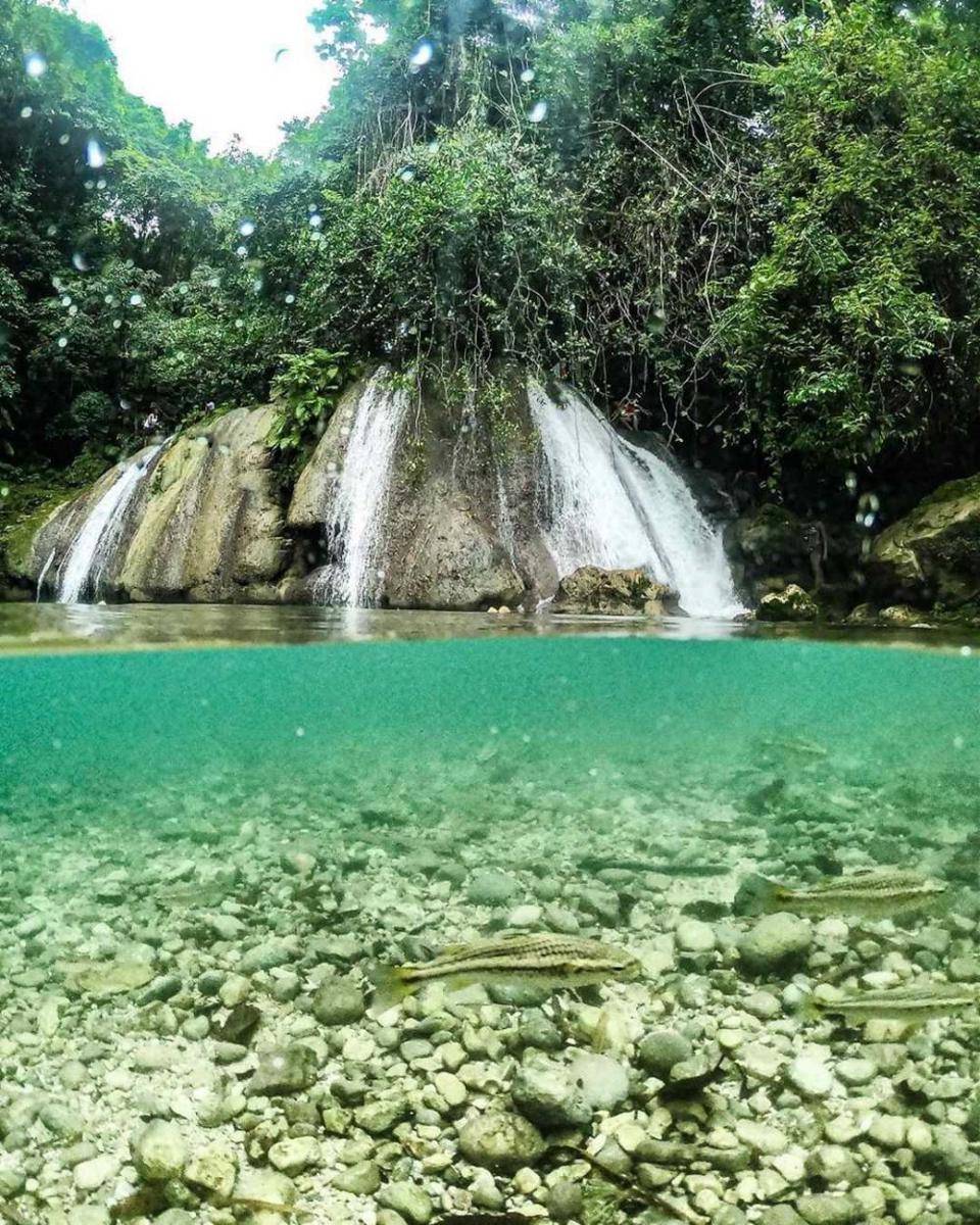 Reach Falls (instagram.com/royalportlandja)