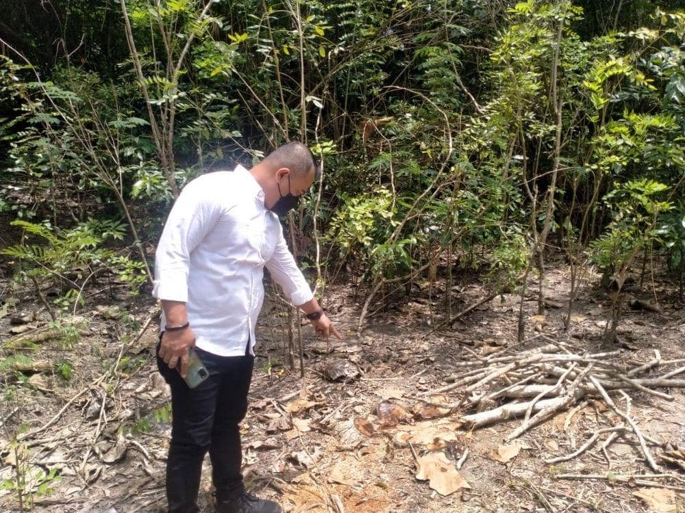 Polisi melakukan pengecekan lokasi pohon jati dan mahoni ditebangi kawanan pencuri.(doc.Humas Polres Kulon Progo)