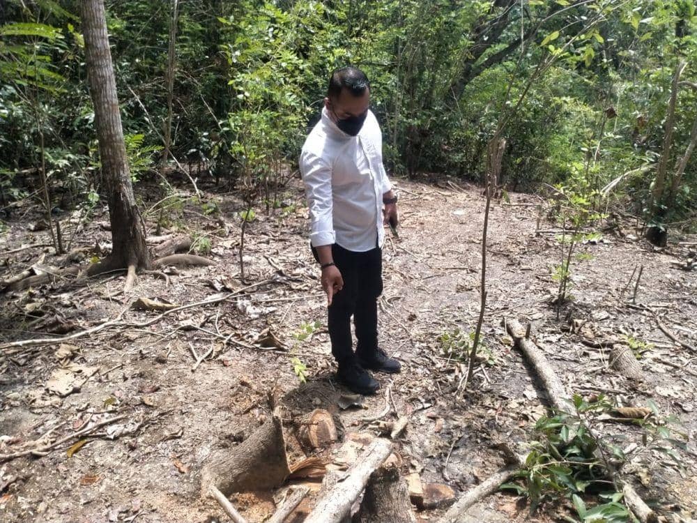 Polisi melakukan pengecekan lokasi pohon jati dan mahoni ditebangi kawanan pencuri.(doc.Humas Polres Kulon Progo)