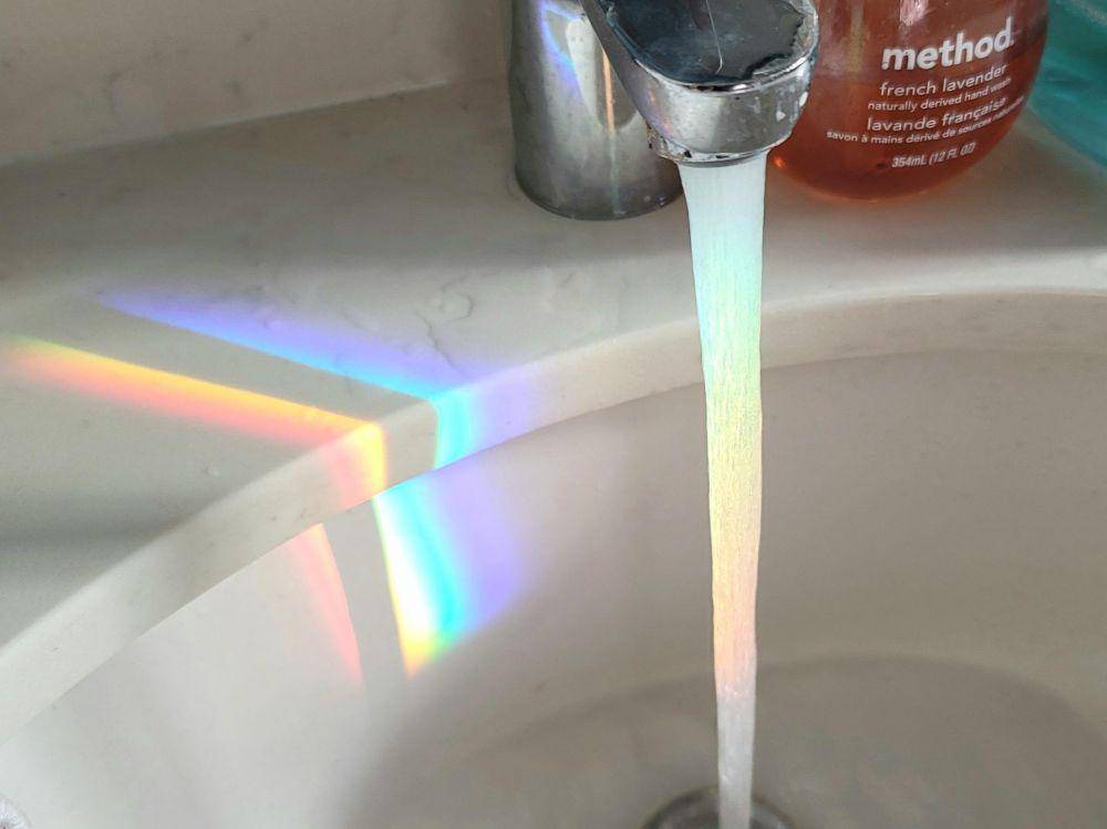 momen kebetulan yang tertangkap kamera (reddit.com/r/mildlyinteresting)
