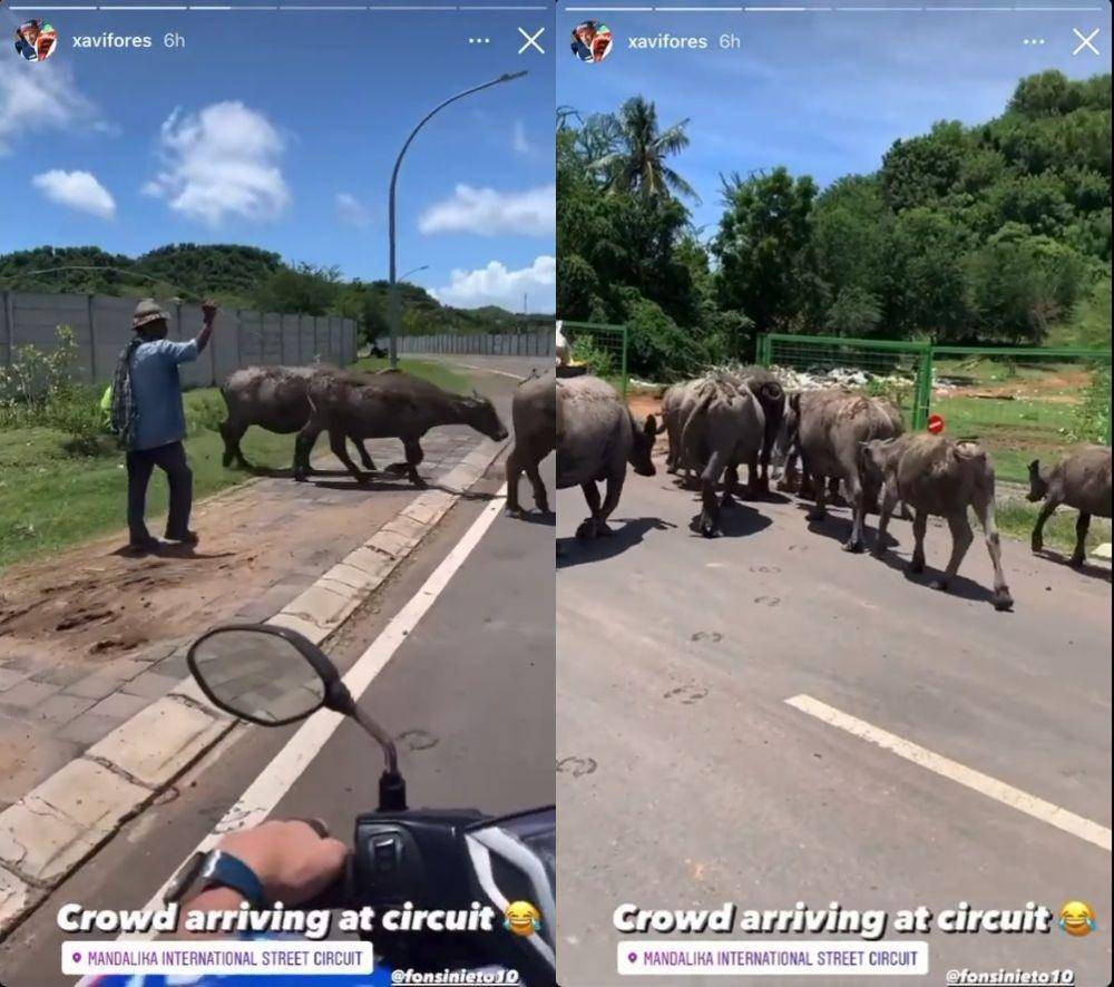 pembalap MotoGP santuy (instagram.com/xavifores)