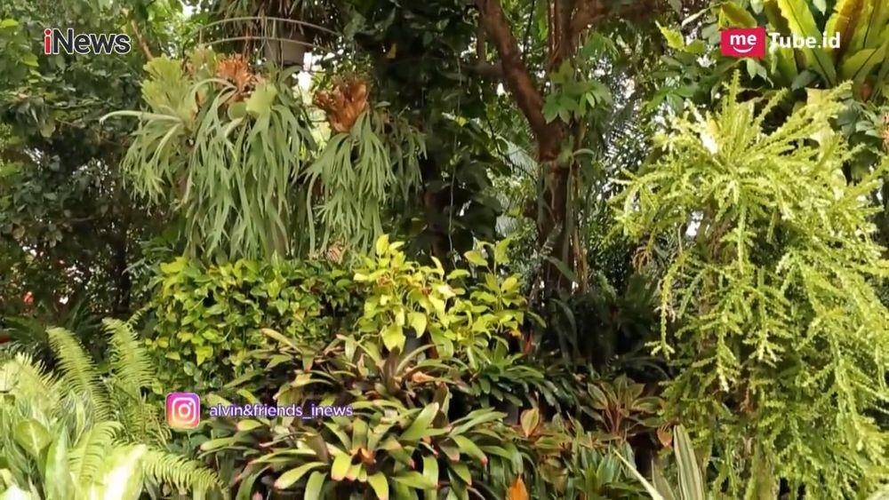 potret rumah Mamah Dedeh (youtube/ iNews Prime Show)