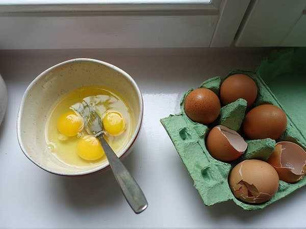 ilustrasi telur (self.com)