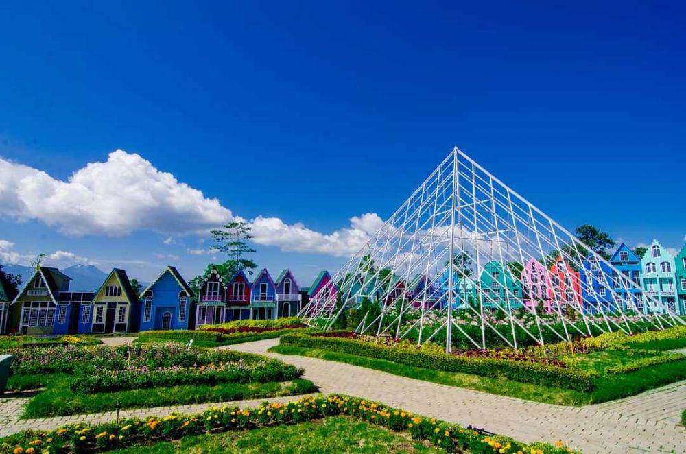 taman bunga celosia (instagram.com/zaenury_kun)
