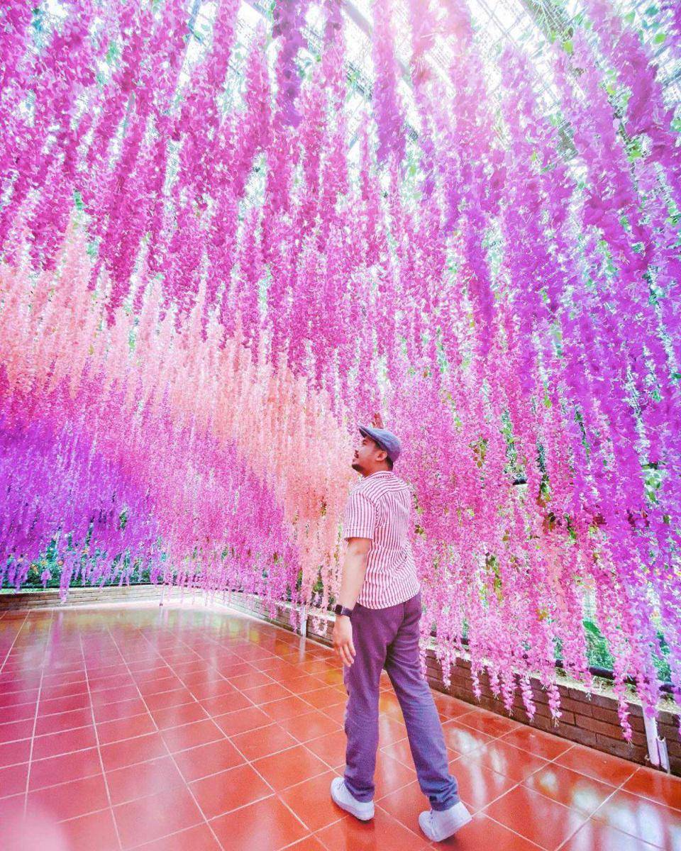 taman bunga celosia (instagram.com/andrebedy)