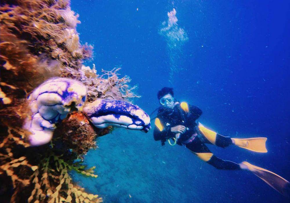 potret Pantai Punagaan (instagram.com/dierdirhamsyah)