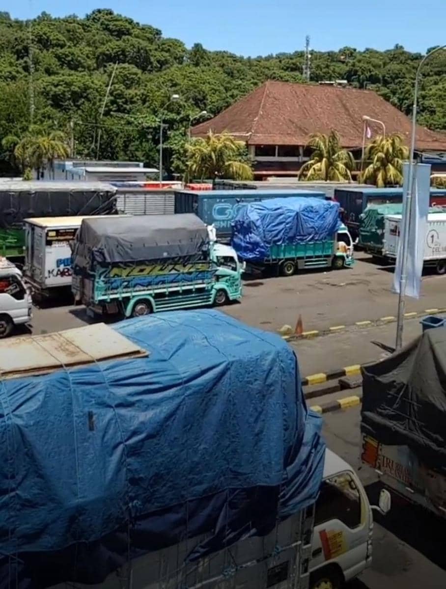 Dok. IDN Times/Istimewa