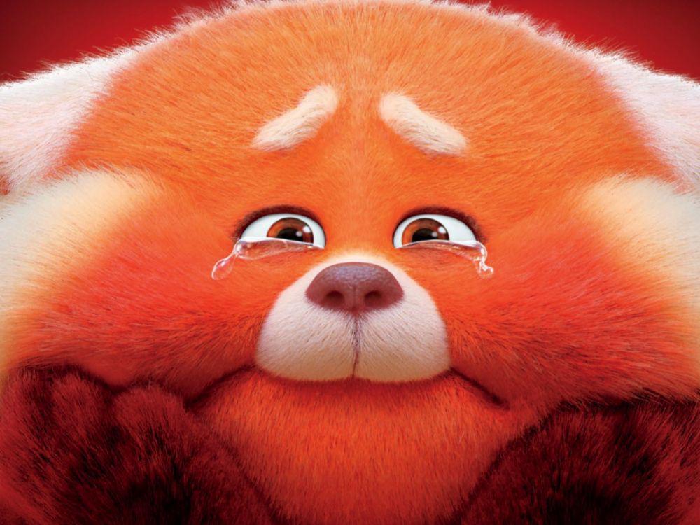 5 Pesan Moral dari Turning Red, Harus Berani Ekspresikan Diri!