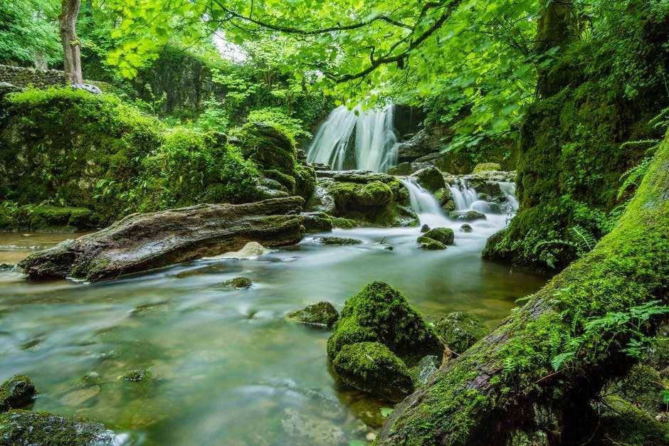 ilustrasi sungai (pexels.com/Pixabay)