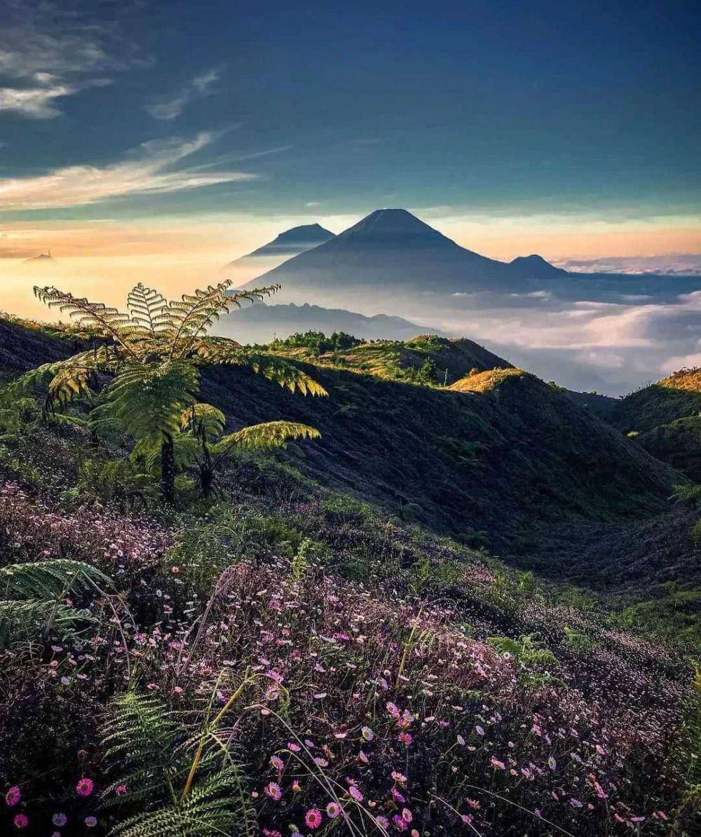 Gunung Prau (instagram.com/gunungprau_dwarawatidiengkulon)