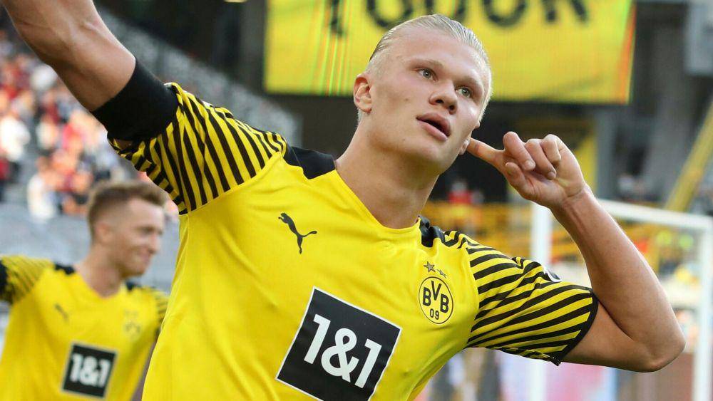 Erling Haaland (skysports.com)