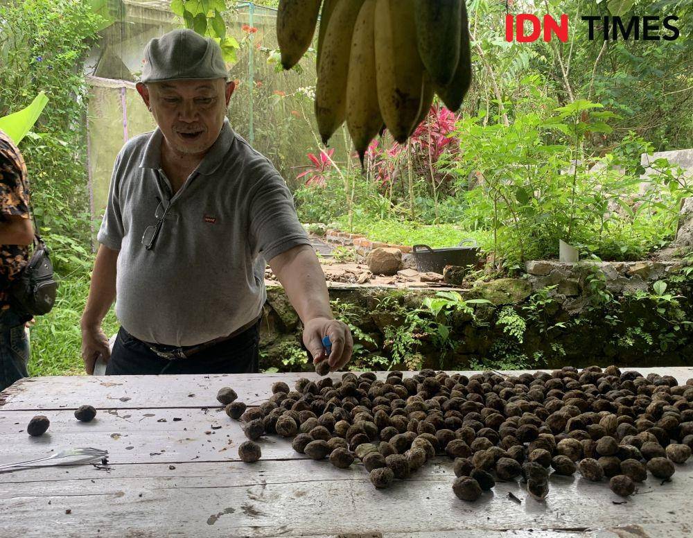Anshori Djausal dan kemiri-kemirinya yang sedang dijemur. (IDN Times/Rohmah Mustaurida).