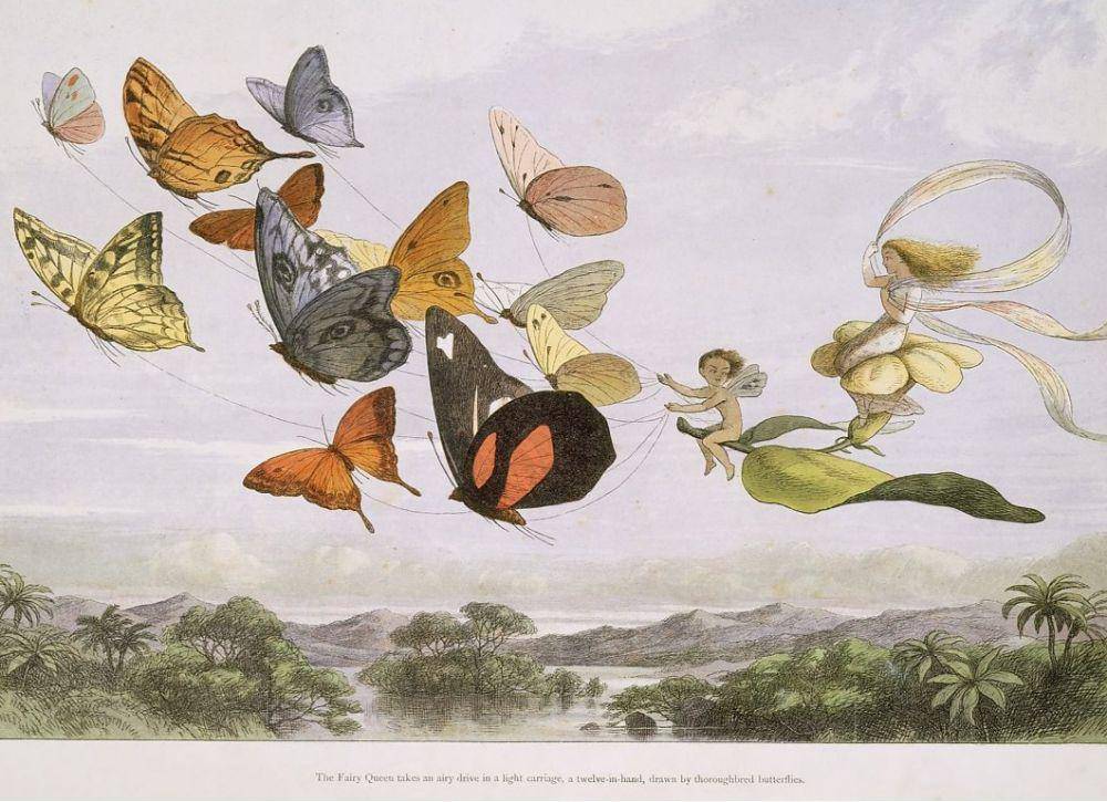 ilustrasi peri oleh Richard Doyle (dok. The Metropolitan Museum of Art)